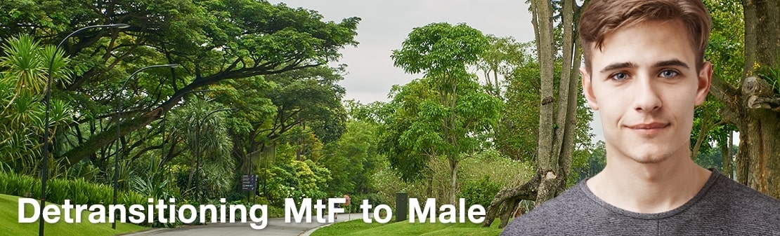 How to detransition from MTF to Male?